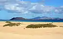 Corralejo