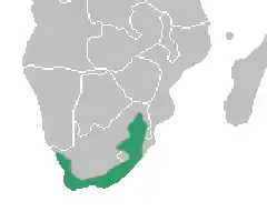 distribución de Corycium