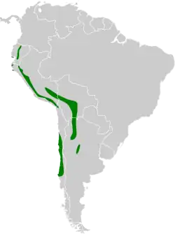 Distribución geográfica del yal platero.