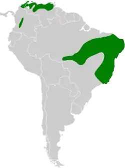 Distribución geográfica del soldadito capirotado.