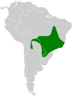 Distribución geográfica del mosquero terrestre sureño.