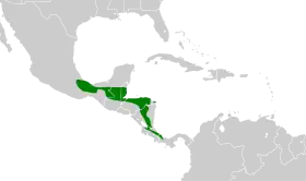 Distribución geográfica del cotinga azulejo.