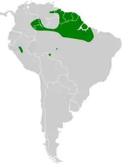 Distribución geográfica del cotinga pechimorado.