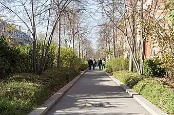 Paseo bordeado de vegetación