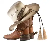 Botas de cowboy