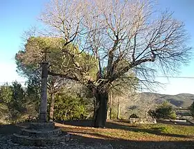 Cruz de la Subida de la Costa