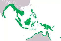 Distribución de C. porosus