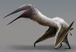 Cryodrakon (Pterosauria)