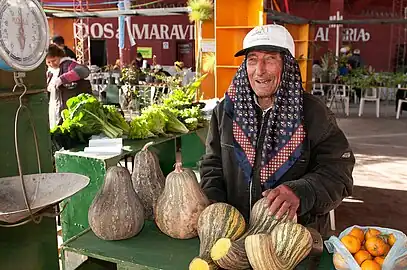 2012, feria en Tucumán. Cucurbita argyrosperma "calabaza rayada" o "calabaza cordobesa" o "calabaza gringa".