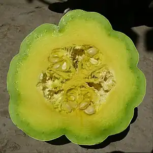 Fruto cosechado muy tempranamente maduro.