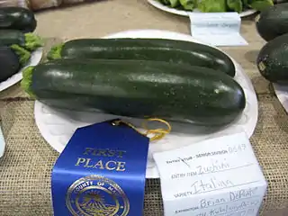 Zucchini. Cucurbita pepo grupo Zucchini (sinónimo Courgette), desarrollado en Italia en los últimos cientos de años, el más reconocido mundialmente. La morfología sirve para reconocerlo pero es el sabor lo que lo hace distintivo y se ha usado como parental de otros cultivares debido a su buen sabor, por lo que otros grupos de cultivares similares suelen ser hoy en día híbridos con zucchini (en especial los "zapallitos largos" como Vegetable Marrow y Cocozelle). La descripción formal (inamovible) del Grupo de cultivares C. pepo Zucchini: "Fruto largo y cilíndrico no clavado (sin forma de garrote) o levemente clavado, el largo es aproximadamente o excede en 3,5 al ancho". El grupo también incluye a Cucurbita pepo 'Fordhook Zucchini'. Color mayoritariamente de verde oscuro (preferido en USA) a verde claro (preferido en Medio Oriente), aunque en los '90 se desarrollaron zucchinis de color amarillo.