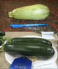 Arriba un 'Zucchini Grey', abajo un 'Black Zucchini'.