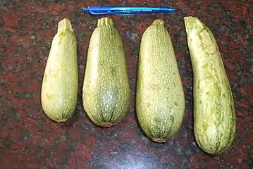 Cucurbita pepo grupo Vegetable Marrow (no confundir con Cucurbita maxima Marrow Group, que se consume maduro). Hubo un centro de desasrrollo en Europa y uno independiente en Estados Unidos, por morfología del fruto similar se pueden hibridar entre ellos y se reúnen en el mismo grupo. La descripción formal (inamovible) del grupo: "Fruto cilíndrico, corto y clavado (con forma de garrote), siendo más delgado del lado del pedúnculo y gradualmente ampliando su diámetro hacia el extremo distal Los autores listan aquí al "inusual" subgrupo 'Vegetable Spaghetti' que se consume maduro deshecho en forma de espaguetis, que los horticultores no seleccionan por forma del fruto desde que se seleccionan para ese uso. Los frutos de este grupo se consumen en todos los estadios de maduración Algunos cultivares de fruto pequeño (tipo "mini Vegetable Marrow") llegaron a la Argentina con el nombre italiano de "zucchini" o "zuquini" ("zapallito" en italiano) lo cual puede inducir a errores. Sinónimos científicos: Cucurbita pepo var. fastigata.