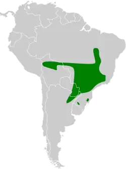 Distribución geográfica del tachurí coludo.