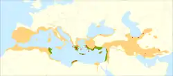alt=Distribución del ciprés mediterráneo. 
:     Distribución actual.
:     Probable distribución natural. 
:     Ejemplares naturales aislados.