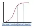 Gráfico de Las Etapas del Ciclo de Vida