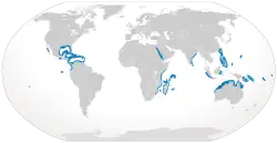 Distribución del tiburón punta blanca