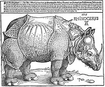 Rinoceronte de Durero, 1515.