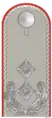 Insignia de Oberstleutnant del Ejército de Alemania