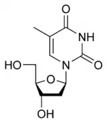 Un ejemplo de nucleósido es la timidina.