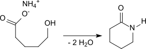 δ Valerolactam por Cyclisierung de Amonio-5-hydroxypentansäure