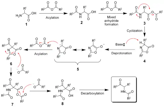 El mecanismo del Dakin-reacción Del oeste