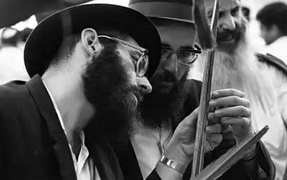 Verificando la calidad del lulav, Jerusalén 1969