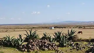 Valle de Apan al sur del estado.