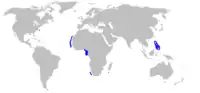 Range of arrownose dogfish (in blue)