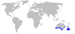 distribución de la especie (en azul)