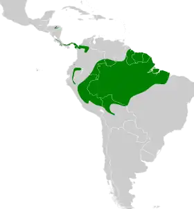 Distribución geográfica del trepatroncos colilargo (incluyendo los grupos typica y pallida).