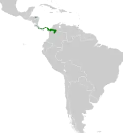 Distribución geográfica del trepatroncos colilargo pequeño.