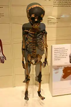 Dederiyeh 1 es un esqueleto de un niño neandertal de unos dos años encontrado en un posible enterramiento y con más de 50 mil años de antigüedad. En 1997-1998 se encontró un segundo enterramiento, también de niño, en la misma cueva.