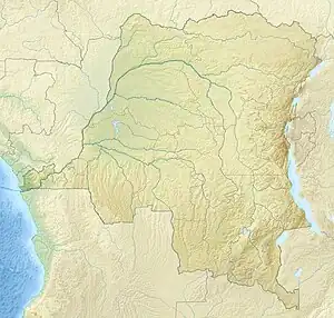 Cataratas de Yellala ubicada en República Democrática del Congo