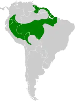 Distribución geográfica del trepatroncos gorgicanelo.