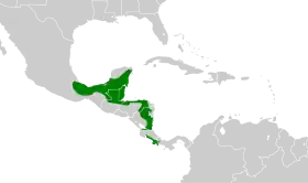 Distribución geográfica del trepatroncos sepia.