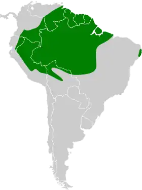 Distribución geográfica del trepatroncos barrado amazónico.