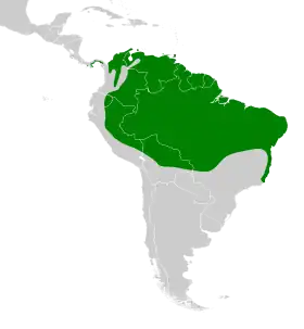 Distribución geográfica del trepatroncos piquirreto.