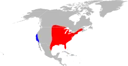 Distribución de las poblaciones de D. variabilis, en los Estados Unidos, el color rojo indica la zona donde se encuentra normalmente la especie; el color azul indica otros lugares donde se ha registrado su presencia, este esquema solo considera información de los EUA, pudiendo, que actualmente la especie tenga una distribución mucho mayor.