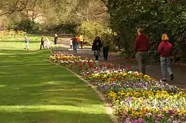 Sendero de paseo con bordura de plantas ornamentales y césped.