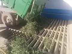 Descarga de olivas