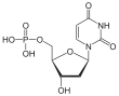 Imagen de la estructura