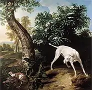 Perra blanca acechando la caza, de Alexandre-François Desportes (1714).