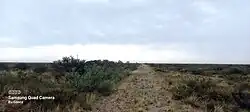 Terraplén de un desvío de la línea al Valle del Río Negro sin vías al costado de la red de trocha ancha a Bariloche.