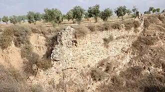 Detalle del muro.