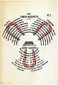 Diagrama N°1 los "tres imanes" (Ebenezer Howard, To-morrow: A Peaceful Path to Real Reform.)