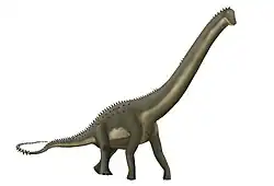 Una reconstrucción de Supersaurus.