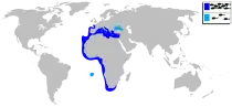 Distribución del sargo común