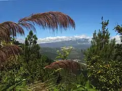 Colinas cerca de Orosi.