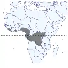 Mapa de distribución de Pseudopontia en ÁfricaMitter, K.T., Larsen, T.B., de Prins, W., de Prins, J., Collins, S., Vande Weghe, G., Sáfián, S., Zakharov, E.V., Hawthorne, D.J., Kawahara, A.Y.,Regier, J.C. 2011. The butterfly subfamily Pseudopontiinae is not monobasic: marked genetic diversity and morphology reveal three new species of Pseudopontia (Lepidoptera: Pieridae). Syst. Entomol. 36: 139-163. DOI: 10.1111/j.1365-3113.2010.00549.x